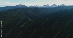 Forest. Big forest. A lot of forest. Aerial view. Hills and valleys of dense forest. Oxygen. Ecology. Wild nature. Siberian taiga. Sayan Mountains. Western Sayan, Ergaki mountains. Siberia, Russia.