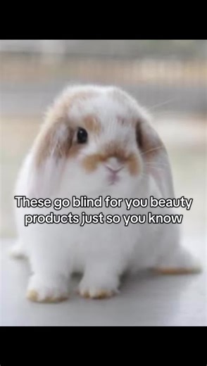 Testing Beauty Products on Adorable Bunnies is Wrong