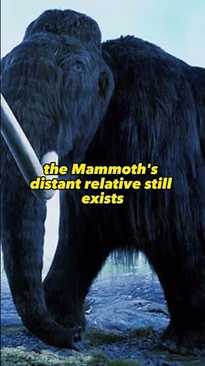 The Woolly Mammoth Is Coming Back From Extinction!