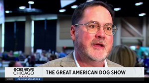 Great American Dog Show returns to Tinley Park Convention Center