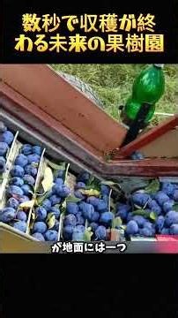 数秒で収穫が終わる未来の果樹園 #農業 #最新技術 #収穫機 #果樹園 #自動化 #重機 #未来農業 #テクノロジー #驚きの映像 #機械化 #スマート農業