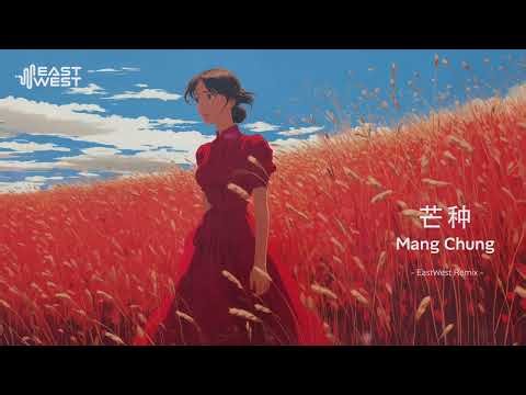 芒种 Mang Zhong - EastWest Remix | Douyin Style Mandarin Remix