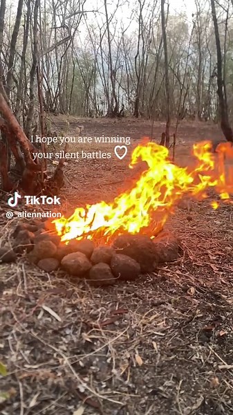 Alien Nation (@_aliennation)’s videos with original sound - Alien Nation