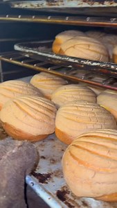 Handmade chocolate conchas made fresh everyday here at our family owned bakery where all our bread is made with authentic traditional recipes from Guadalajara Mexico #reels | Saborguadalajara