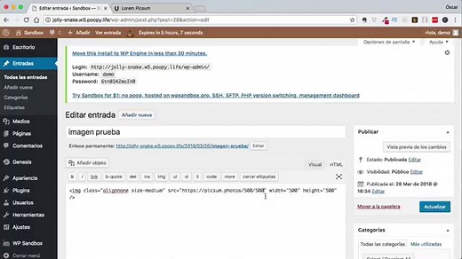 Picsum Photos, imágenes de prueba, el Lorem Ipsum de las imágenes | Cómo Hacer Una Página