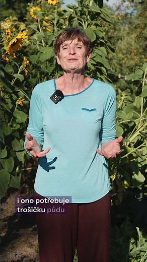 🌱 Zelené hnojení: přírodní náhrada hnoje
