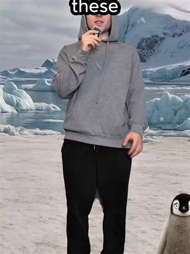 Hewan dengan Titik Respawn Terburuk dan Brutal