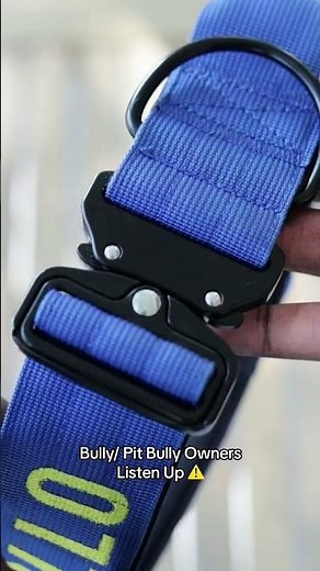 strongest DOG collar for Big dogs 🐶🐶