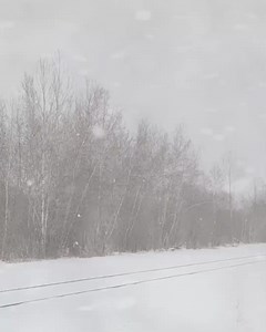 Even our new trains needed a much-deserved break! After some Holiday-season rest and relaxation, they're ready to hit the rails again in 2023!​ 💪 - Même nos nouveaux trains ont pris une pause bien méritée ! Après un peu de repos et de détente durant le temps des fêtes, ils reprennent les rails en 2023 !​ 💪 #viarail #viarailcanada #newfleet #nouvelleflotte | VIA Rail Canada