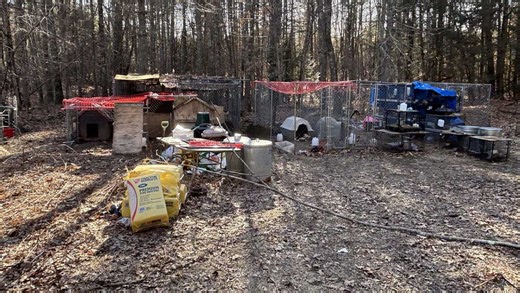 Marlborough, Massachusetts, man charged after 96 dead animals found, MSPCA says