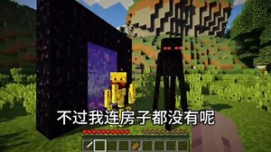 我的世界：地狱是不可以睡觉的