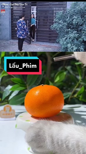 Tài khoản được đề xuất