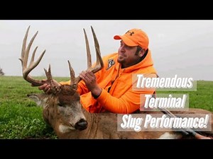 Self Filmed Hunt, Slug Impact: Big Target Whitetail Buck During The Rut, Illinois Shotgun Season