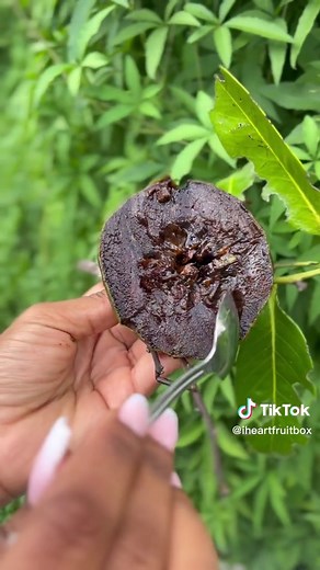 iHeartFruitBox on TikTok