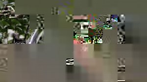 20K views · 275 reactions | This remarkable footage of Vietnam's...