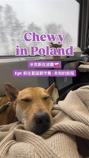 大人國歷險記 Travel with Chewy on Instagram: "謝謝小狗們的信任、謝謝初一的信任。 常常在旅行時候看著初一，覺得他的小腦袋一定想不通我們在哪？我們要去哪裡？但是他還是跟我們走了，不知道走哪裡還自願帶頭，這股信任我們的傻勁，讓人覺得暖心☺️ 我們終於到波蘭 Krakow 了！"