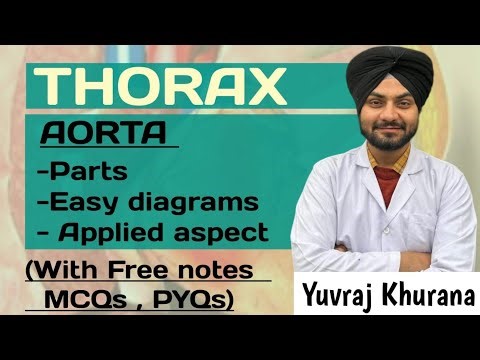 Aorta anatomy | Arch of Aorta | Coarctation of Aorta | Patent ductus arteriosus | Medico Paji
