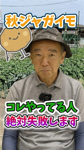Don't do this if you want to succeed with fall potatoes in your garden or farm! [Expert Farmer Ad...