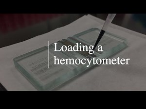Loading a Sample into a Hemocytometer
