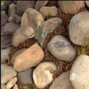 Mark Hoppus House HGTV