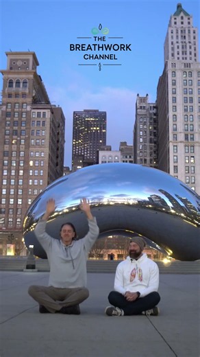 Bellows Breath Millennium Park Chicago