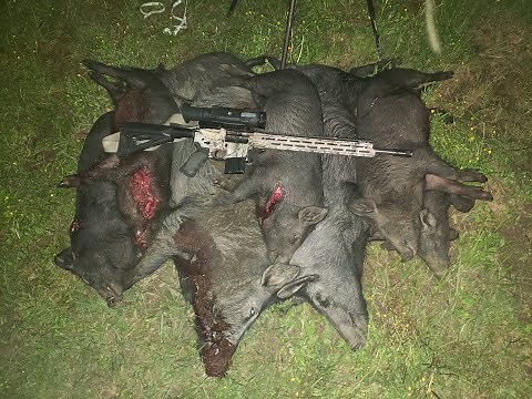 6.5 Grendel Vs. 6.8 SPC II on Feral Hogs