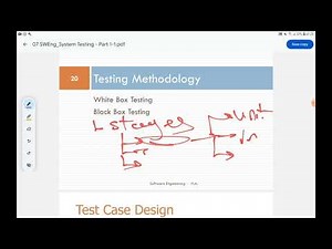 Software Testing - SW Lecture 7 (FCIS 2024)