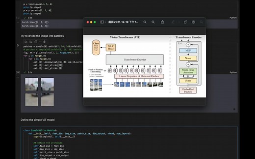 深度学习 PyTorch Vision Transformer