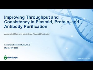 Improving Throughput and Consistency in Plasmid Purification: A Novel Approach