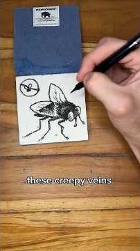 Drawing tutorial: realistic flies for beginners #art #fly #drawingtutorial