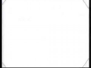 Animax 2004 all logo