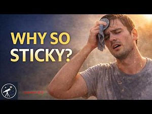 Dew Point Explained: What Humidity Really Means