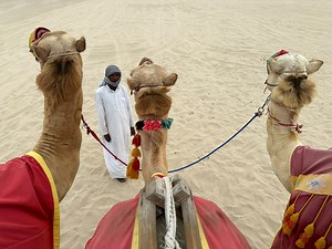 JAL初の中東路線、初便に乗ってカタール・ドーハへ行ってきた！ 砂漠のなかの超近代都市まで12時間の旅