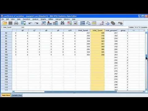Coefficient of variation - SPSS (part 2)
