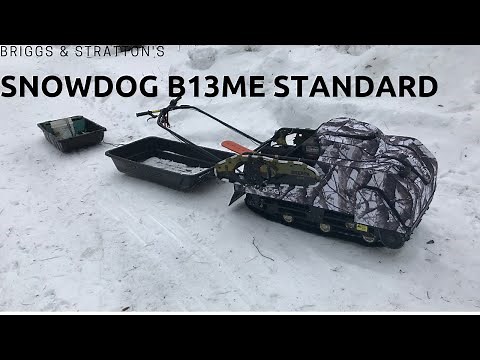 SNOWDOG B13ME Standard by Briggs & Stratton Overview
