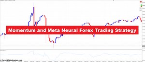Momentum and Meta Neural Forex Trading Strategy