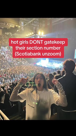 Scotiabank Arena Concert Seating: Best Seats and Views