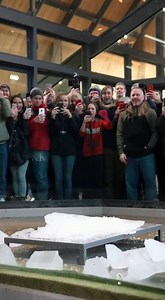 Even behind the glass Real power can’t be contained 🦍 #gorilla | Common Sense On Mars