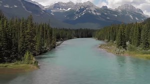 Thank you to everyone who helped us celebrate the new Land Acknowledgment and the unveiling of the Land Acknowledgment plaque this weekend. An official Land Acknowledgment is one of the ways Calgary Public Library lives its commitment to Truth and Reconciliation. The Library engaged with members of the Elders’ Guidance Circle, Indigenous Staff members, members of the Truth and Reconciliation Stewardship Group, and representatives from the five Treaty 7 signatories and the Métis Nation of Alberta