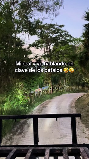 Amigas y Pétalos: Humor Relatable en la Amistad