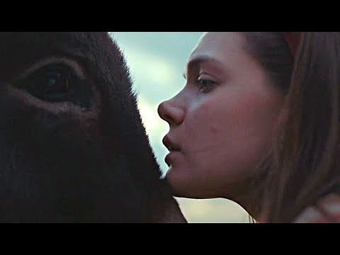 EO Bande Annonce VF (2022, Drame) Isabelle Huppert, Jerzy Skolimowski