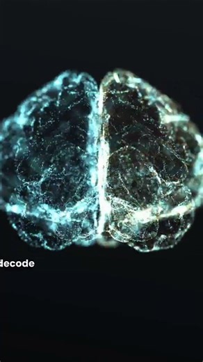 Biomedical Engineering Applications of Complex Exponentials