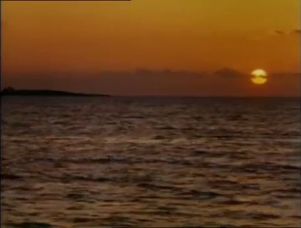 Jaws: The Revenge (1987) ⭐ 3.1 | Adventure, Horror, Thriller