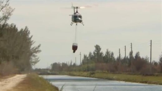 Florida firefighters battle wildfires fueled by high winds