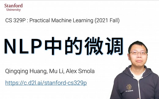 11.2 NLP中的微调【斯坦福21秋季：实用机器学习中文版】