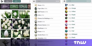Bing Image Search's New Smart Suggestions Minimize Typing