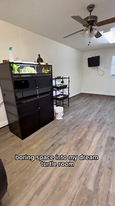 24K views · 477 reactions | DIY TURTLE ROOM  #turtles #reptiles #fish #animals #pets #DIY | DanTheTurtleMan | Facebook