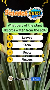 73K views · 2.8K reactions | Kaboom Quiz on Reels | Facebook