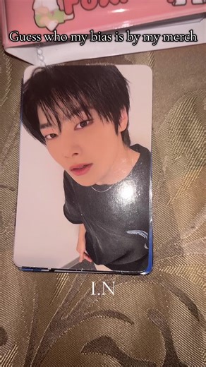 Guess My Stray Kids Bias with Merch Clues