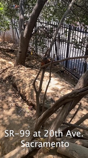 From June 20-26, Caltrans removed 88 encampments & 866 yds of debris (~31 garbage trucks) in LA, SD, Orange, Contra Costa, Ventura, Fresno, Tulare, Kern, San Bernardino & Riverside Counties. Many of the 258 people affected were offered services by our outreach partners. | Caltrans HQ